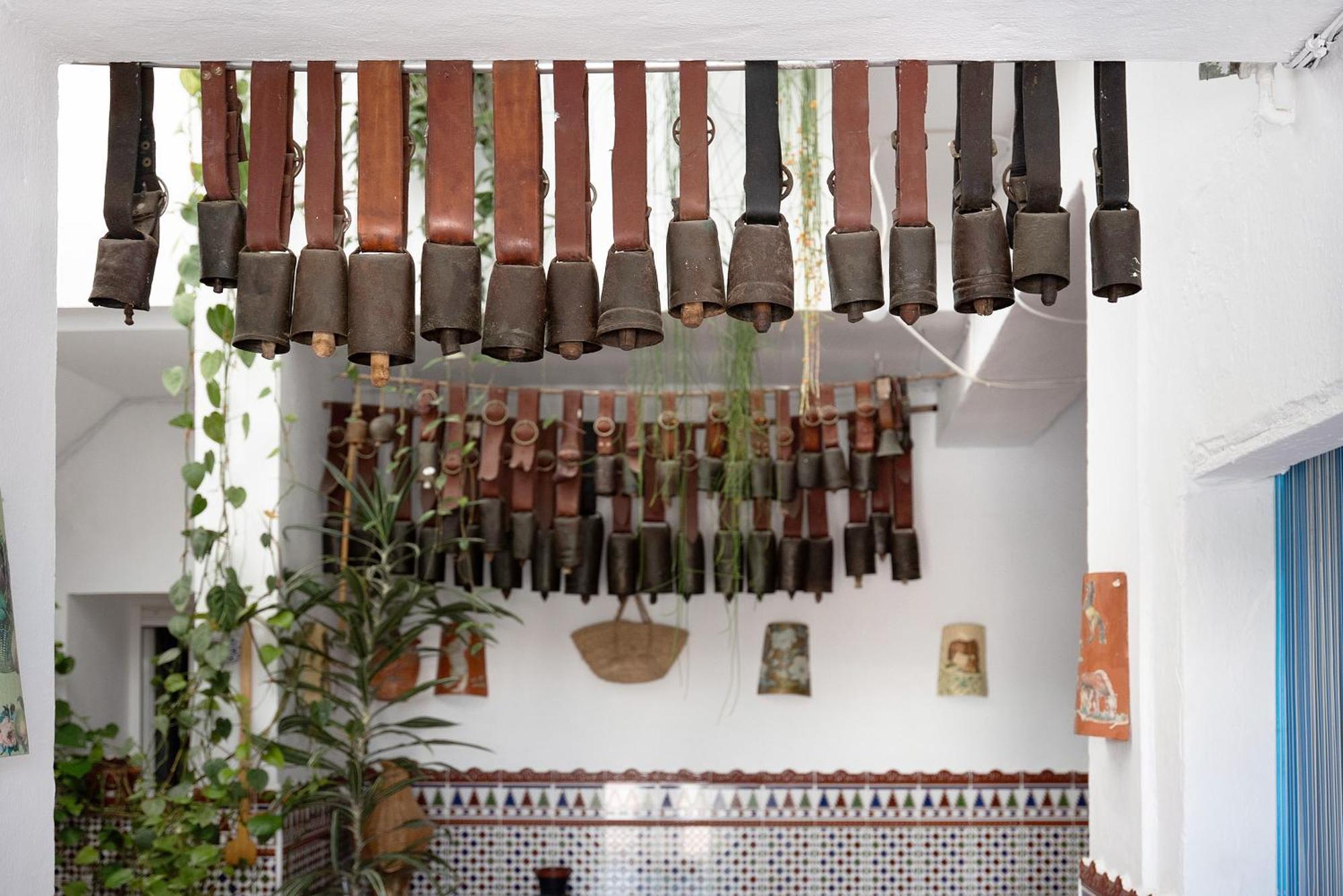 Casa El Muro Vejer de la Frontera Ngoại thất bức ảnh